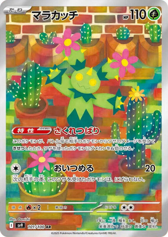 Maractus (JP) 101/100
