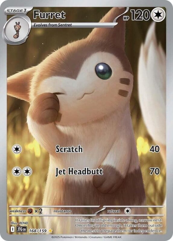 Furret (EN) 168/159
