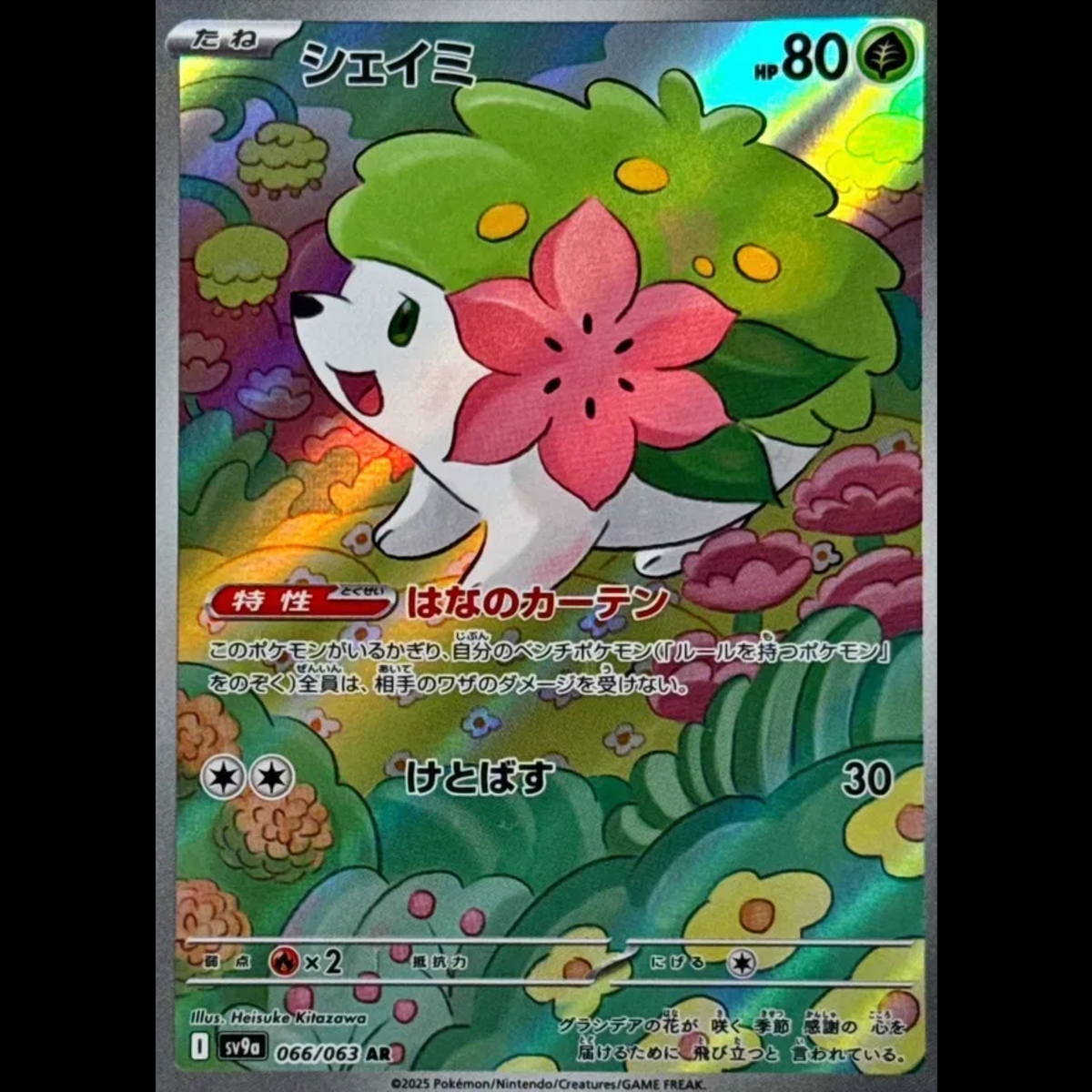 Shaymin (JP)