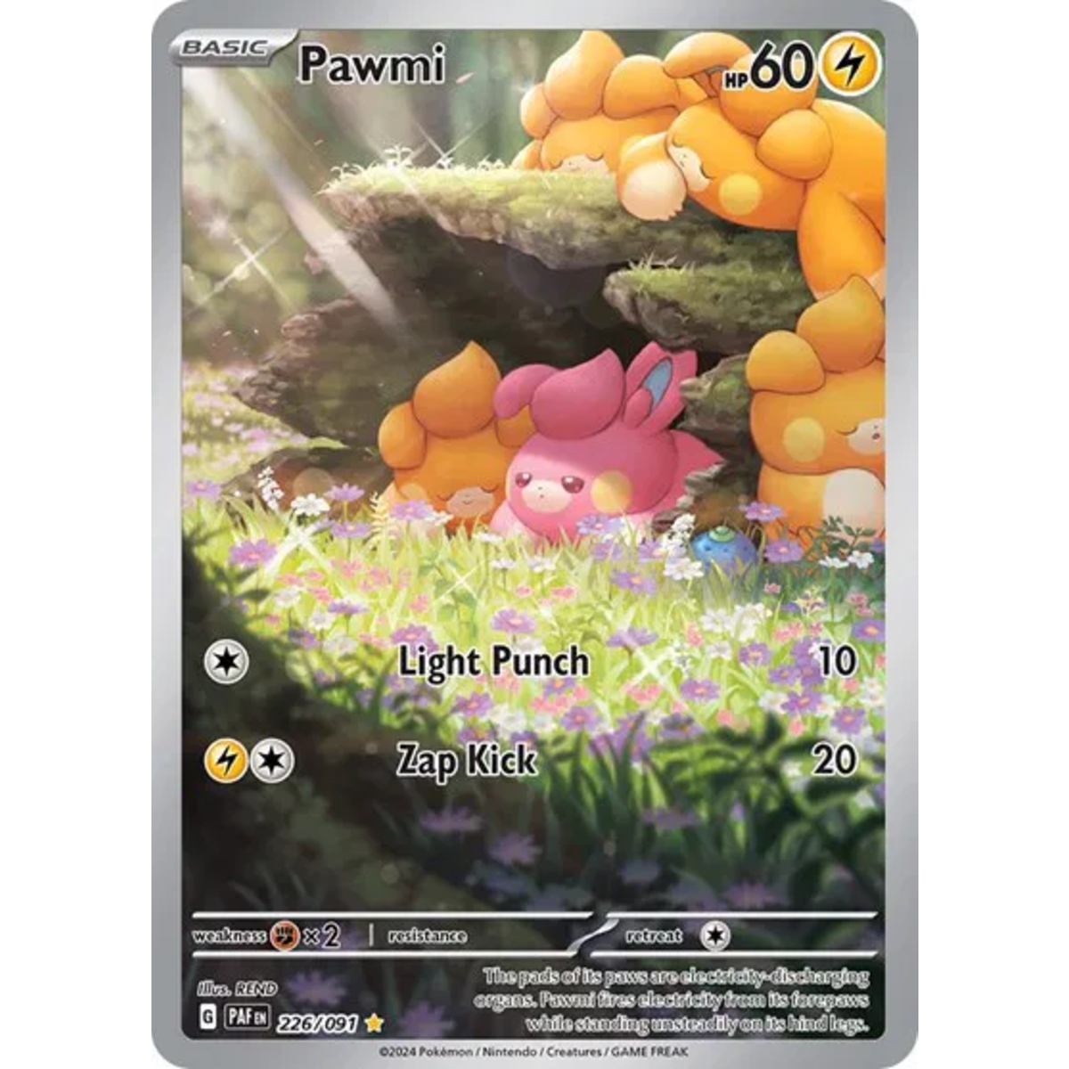 Pawmi AR ENG