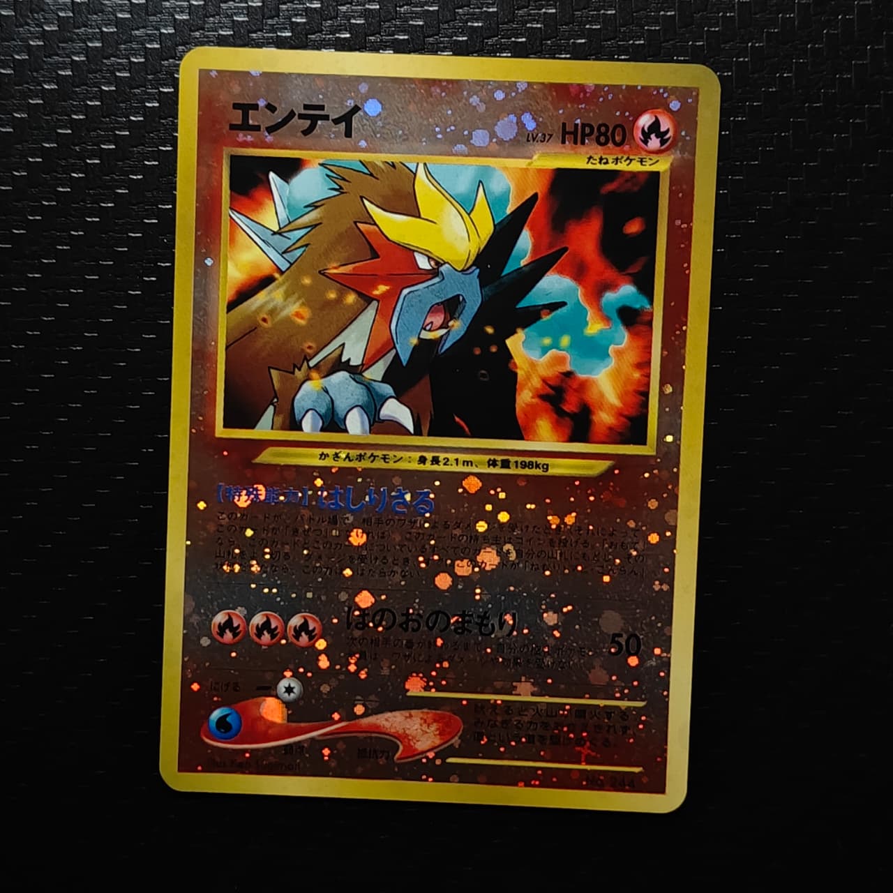 Entei Neo Premium File Set 2 – 244 (JP)