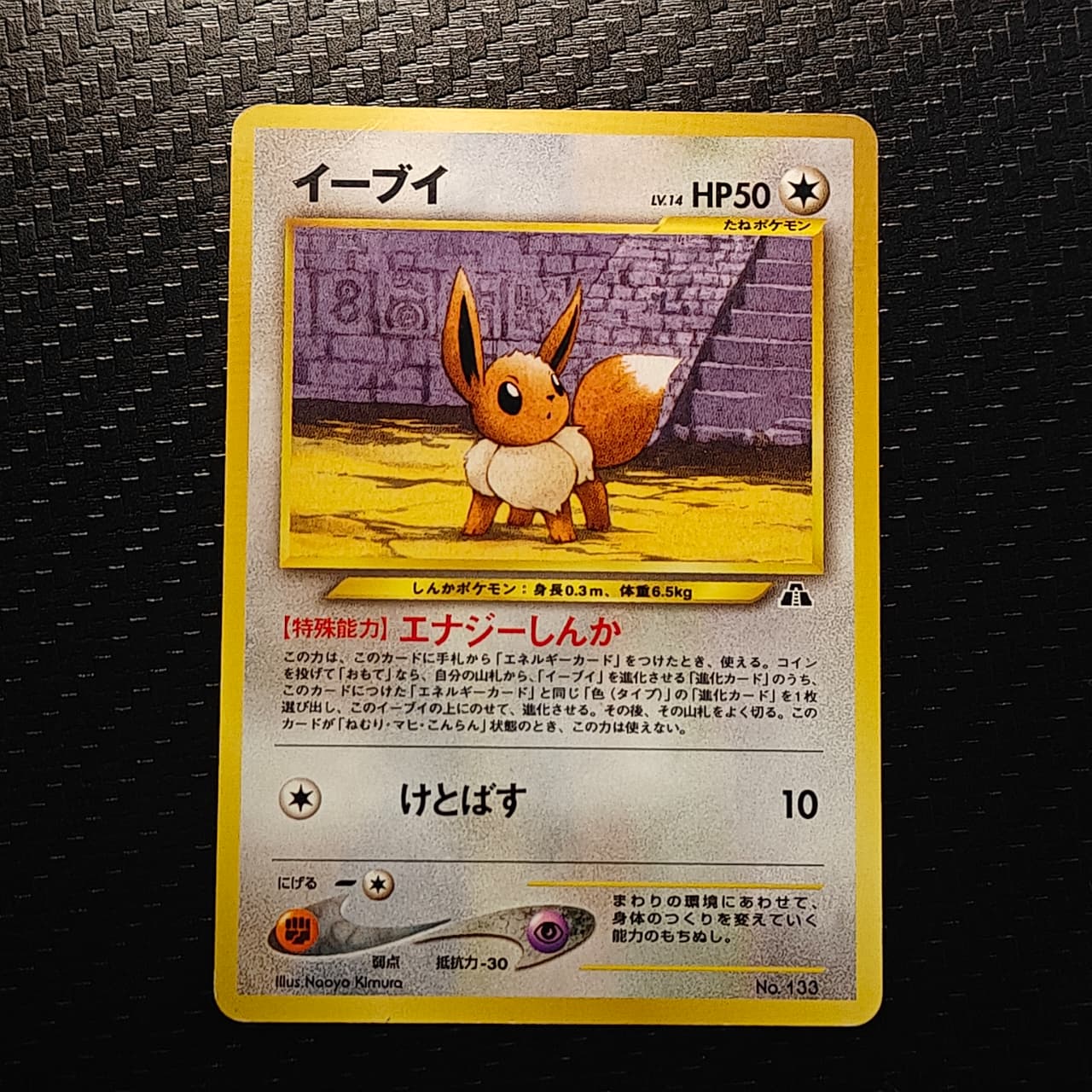Neo Premium File 2 #No.133 Eevee (JP)